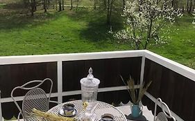 W Karkonoszach na Chacie #SAUNA # BILARD #LEŚNY PARK